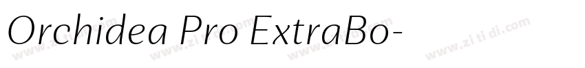 Orchidea Pro ExtraBo字体转换